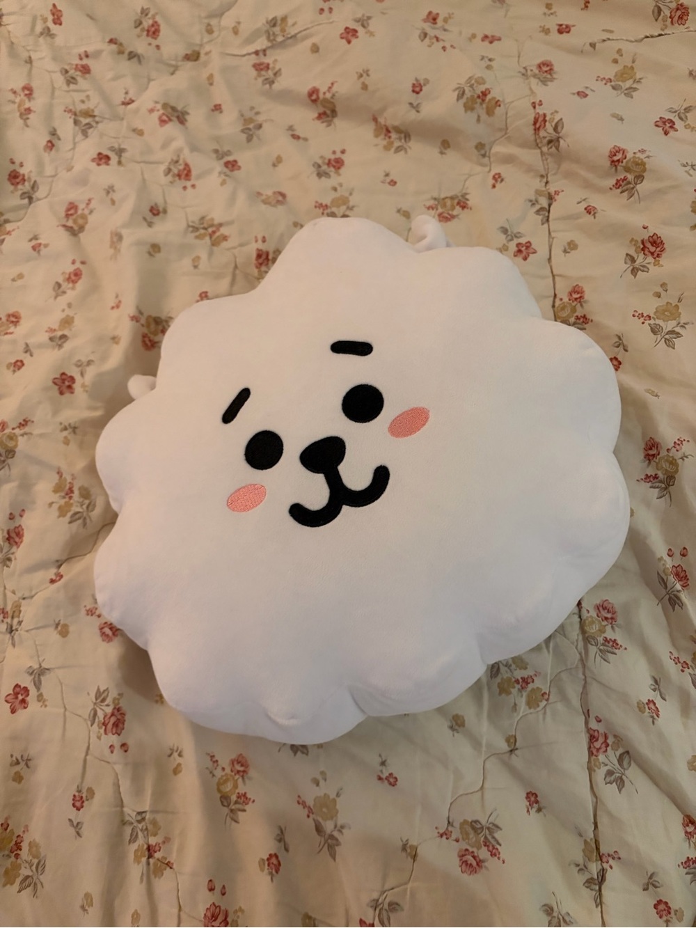 BTS RJ Pillow -Line Friends Korea